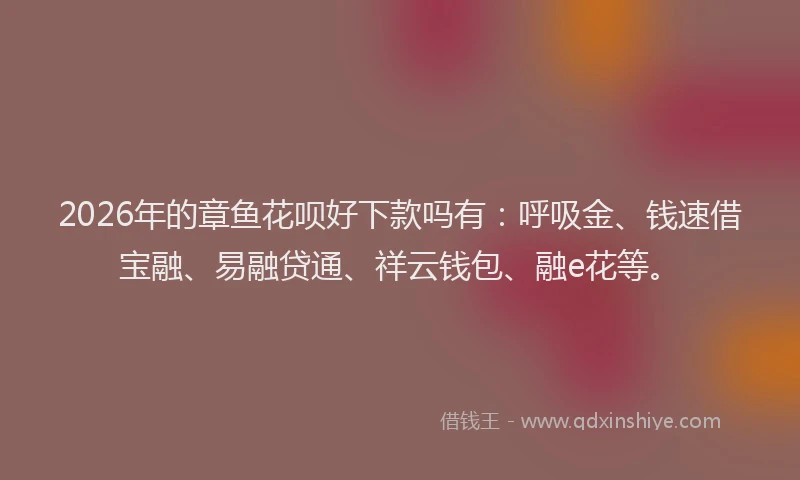 2026年的章鱼花呗好下款吗有：呼吸金、钱速借宝融、易融贷通、祥云钱包、融e花等。