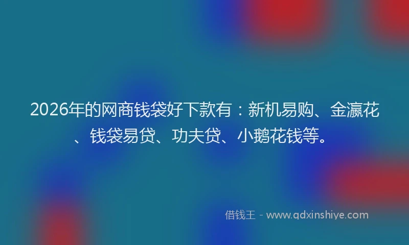 2026年的网商钱袋好下款有：新机易购、金瀛花、钱袋易贷、功夫贷、小鹅花钱等。