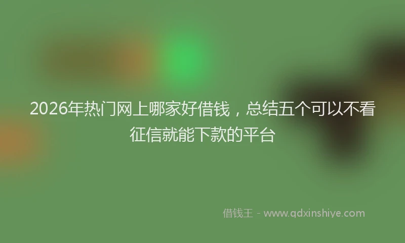 2026年热门网上哪家好借钱，总结五个可以不看征信就能下款的平台