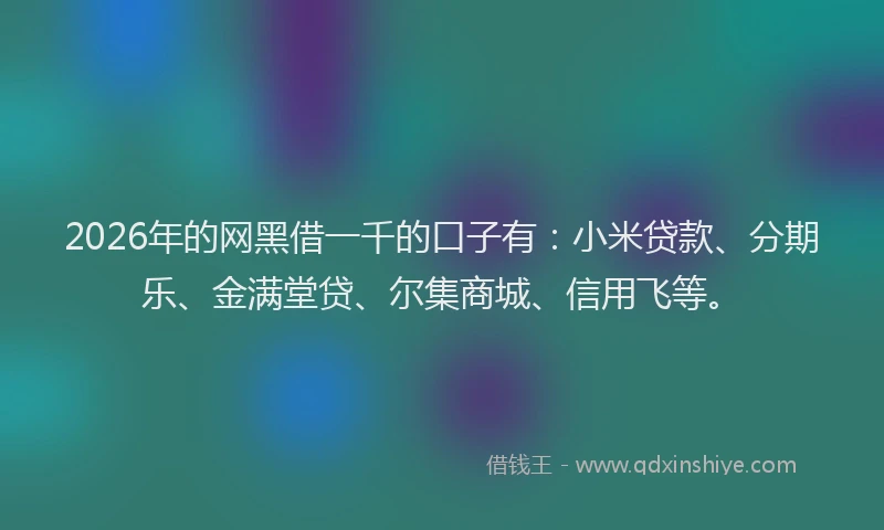 2026年的网黑借一千的口子有：小米贷款、分期乐、金满堂贷、尔集商城、信用飞等。