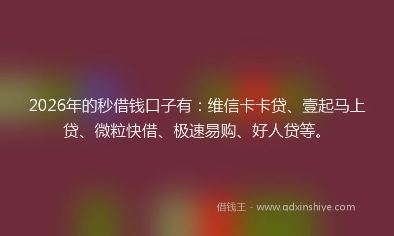 2026年的秒借钱口子有：维信卡卡贷、壹起马上贷、微粒快借、极速易购、好人贷等。