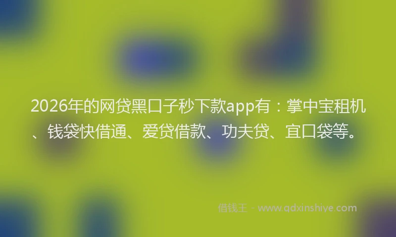 2026年的网贷黑口子秒下款app有：掌中宝租机、钱袋快借通、爱贷借款、功夫贷、宜口袋等。