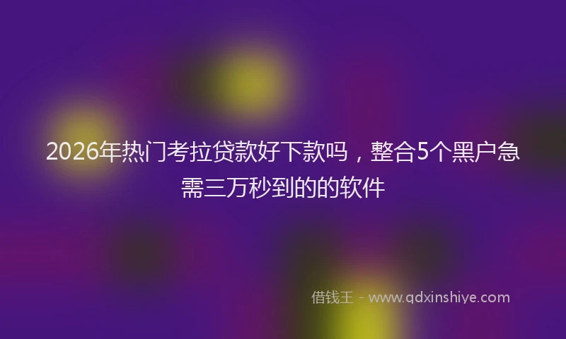 2026年热门考拉贷款好下款吗，整合5个黑户急需三万秒到的的软件