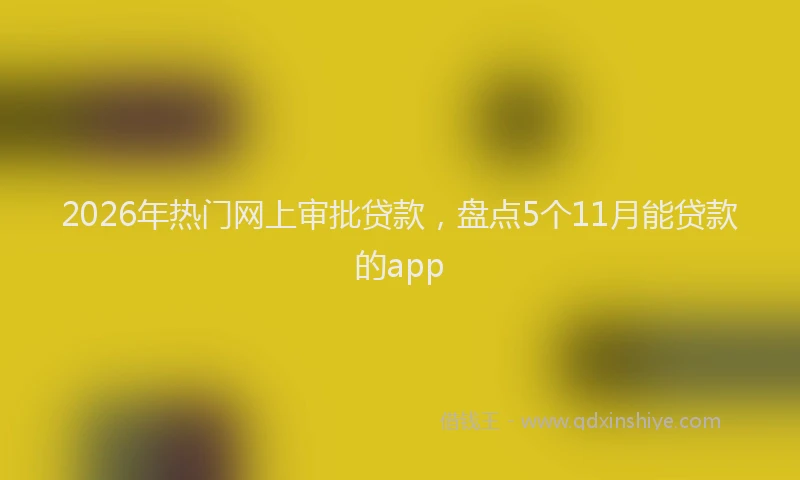 2026年热门网上审批贷款，盘点5个11月能贷款的app