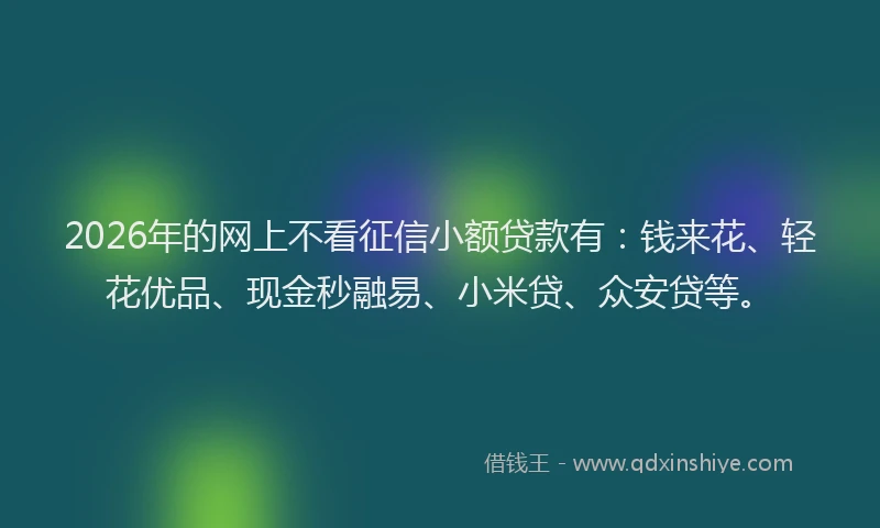 2026年的网上不看征信小额贷款有：钱来花、轻花优品、现金秒融易、小米贷、众安贷等。