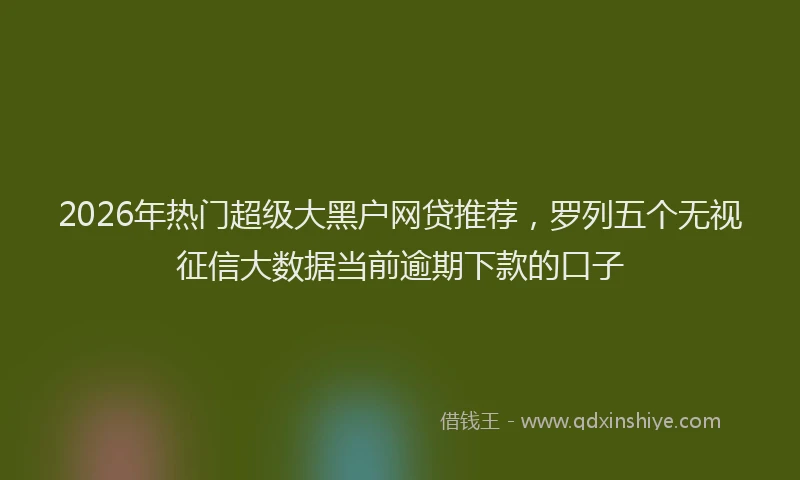 2026年热门超级大黑户网贷推荐，罗列五个无视征信大数据当前逾期下款的口子