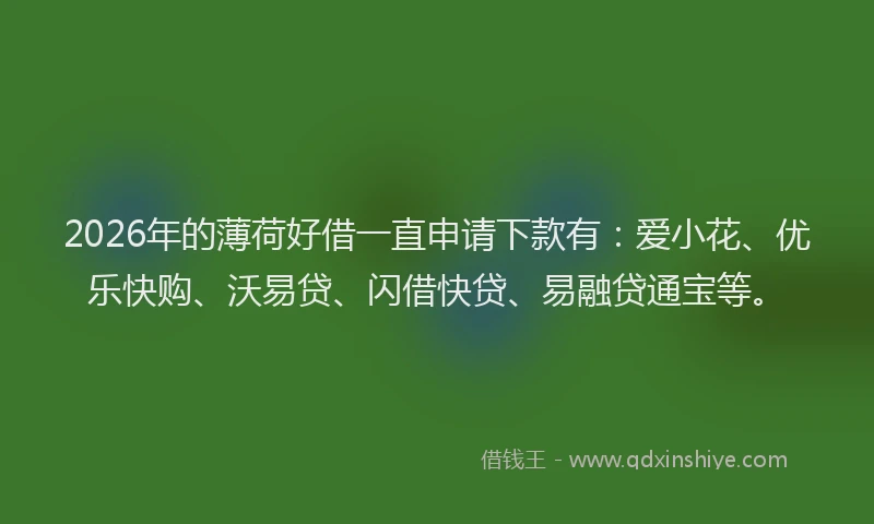 2026年的薄荷好借一直申请下款有：爱小花、优乐快购、沃易贷、闪借快贷、易融贷通宝等。