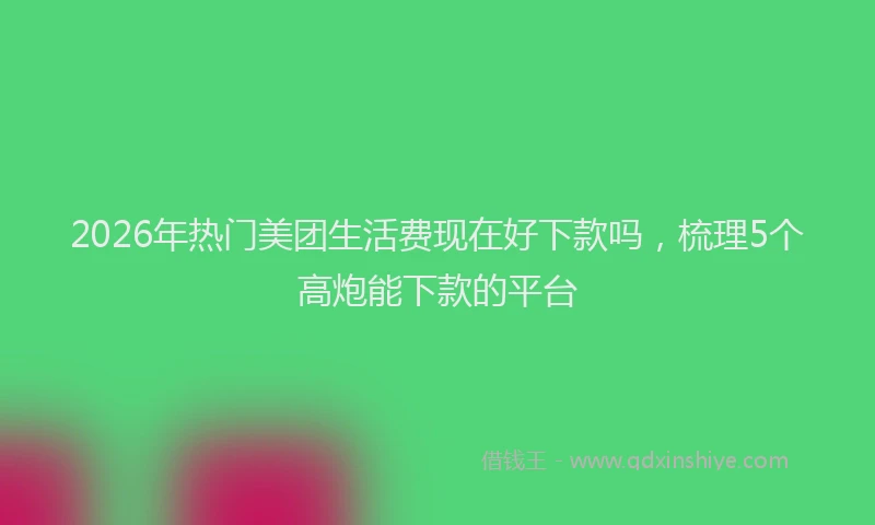 2026年热门美团生活费现在好下款吗,梳理5个高炮能下款的平台