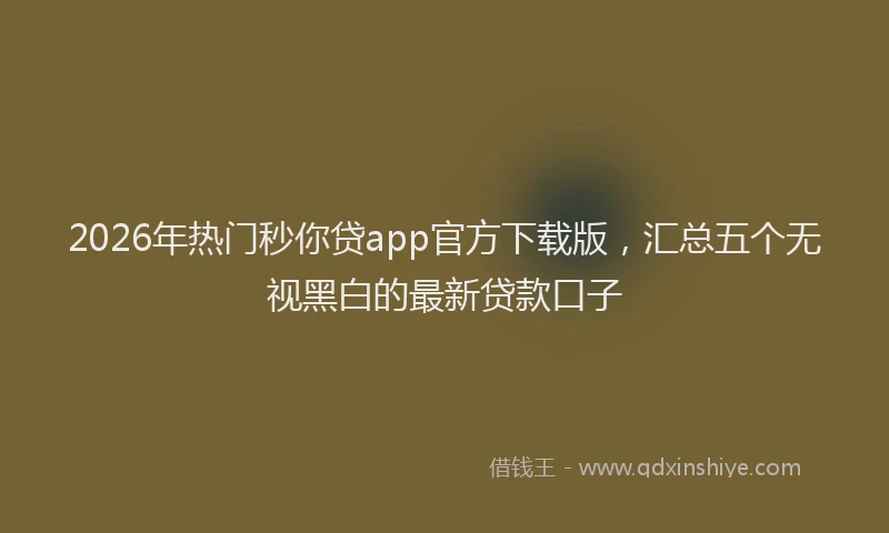 2026年热门秒你贷app官方下载版，汇总五个无视黑白的最新贷款口子