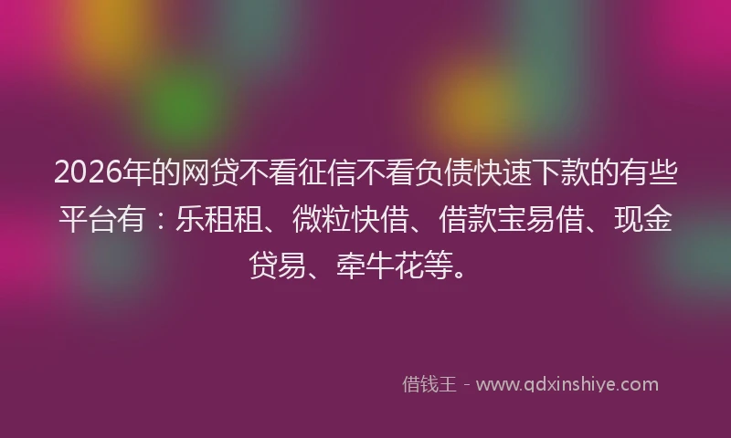 2026年的网贷不看征信不看负债快速下款的有些平台有:乐租租、微粒快借、借款宝易借、现金贷易、牵牛花等。