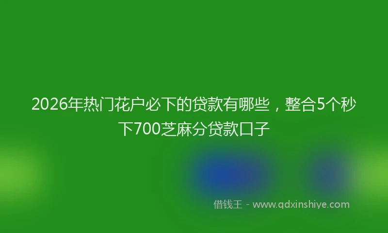 2026年热门花户必下的贷款有哪些，整合5个秒下700芝麻分贷款口子