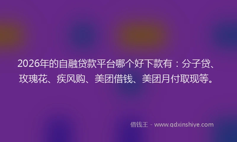 2026年的自融贷款平台哪个好下款有：分子贷、玫瑰花、疾风购、美团借钱、美团月付取现等。