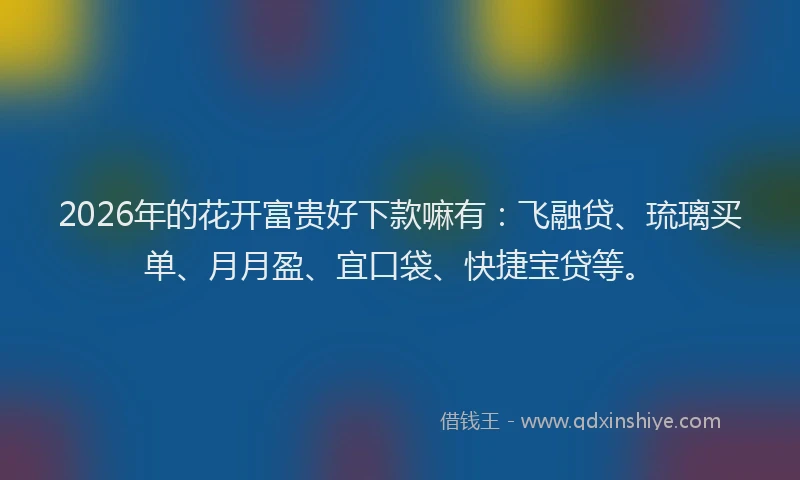 2026年的花开富贵好下款嘛有：飞融贷、琉璃买单、月月盈、宜口袋、快捷宝贷等。