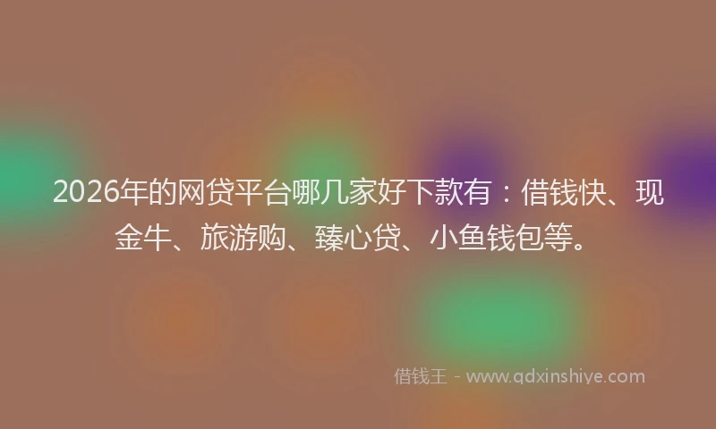 2026年的网贷平台哪几家好下款有：借钱快、现金牛、旅游购、臻心贷、小鱼钱包等。