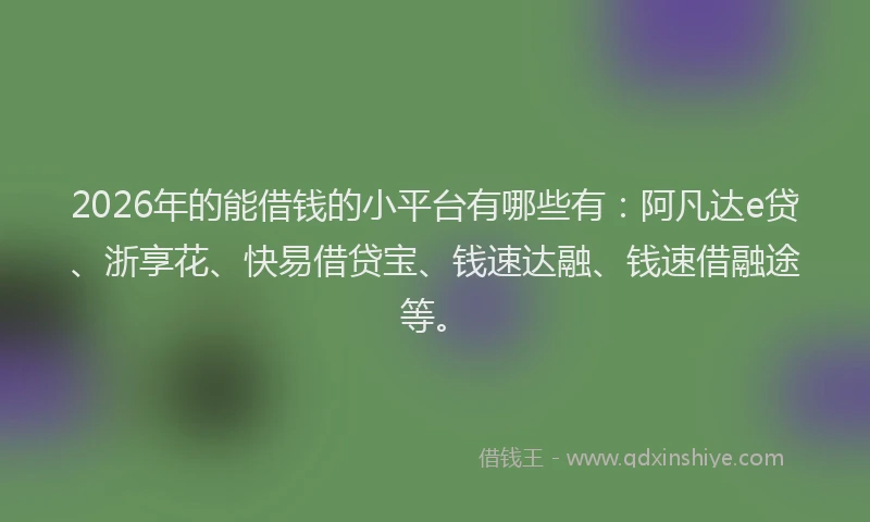 2026年的能借钱的小平台有哪些有：阿凡达e贷、浙享花、快易借贷宝、钱速达融、钱速借融途等。