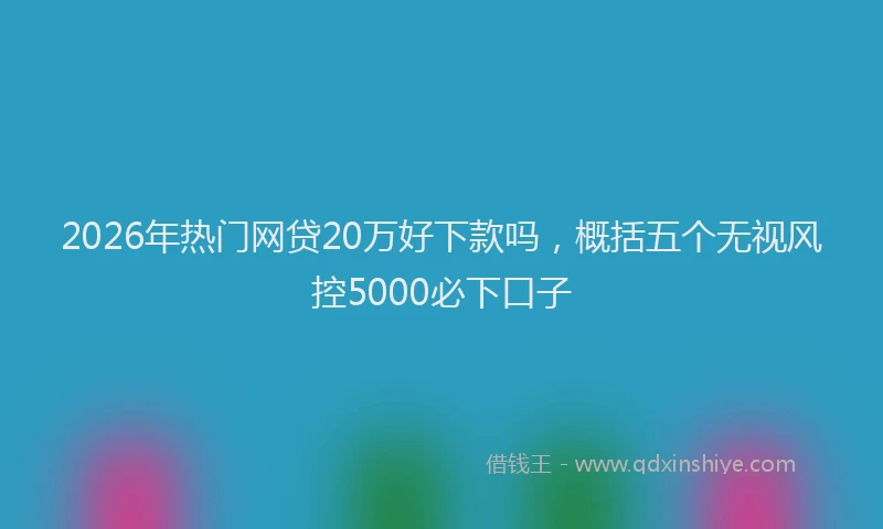 2026年热门网贷20万好下款吗，概括五个无视风控5000必下口子