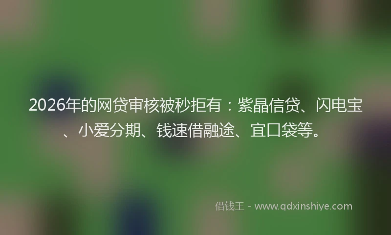 2026年的网贷审核被秒拒有：紫晶信贷、闪电宝、小爱分期、钱速借融途、宜口袋等。