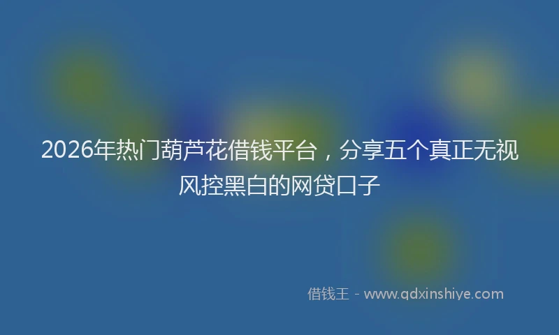 2026年热门葫芦花借钱平台，分享五个真正无视风控黑白的网贷口子