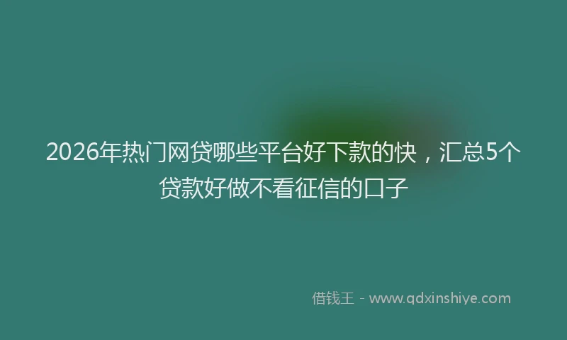 2026年热门网贷哪些平台好下款的快，汇总5个贷款好做不看征信的口子