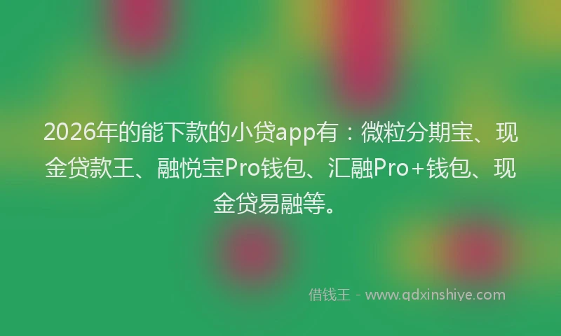 2026年的能下款的小贷app有：微粒分期宝、现金贷款王、融悦宝Pro钱包、汇融Pro+钱包、现金贷易融等。