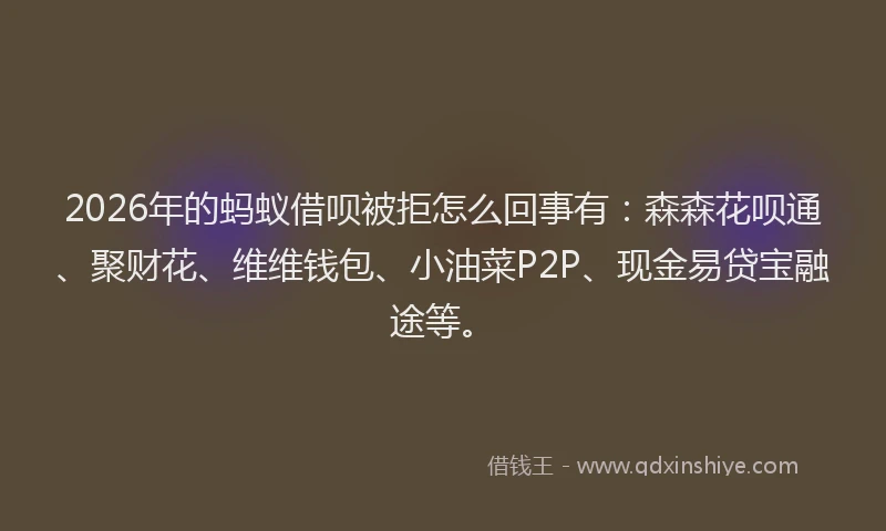 2026年的蚂蚁借呗被拒怎么回事有：森森花呗通、聚财花、维维钱包、小油菜P2P、现金易贷宝融途等。