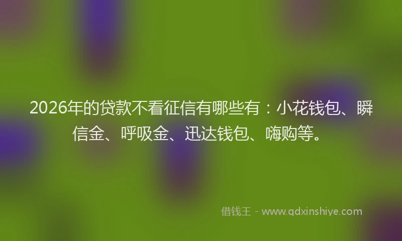 2026年的贷款不看征信有哪些有：小花钱包、瞬信金、呼吸金、迅达钱包、嗨购等。