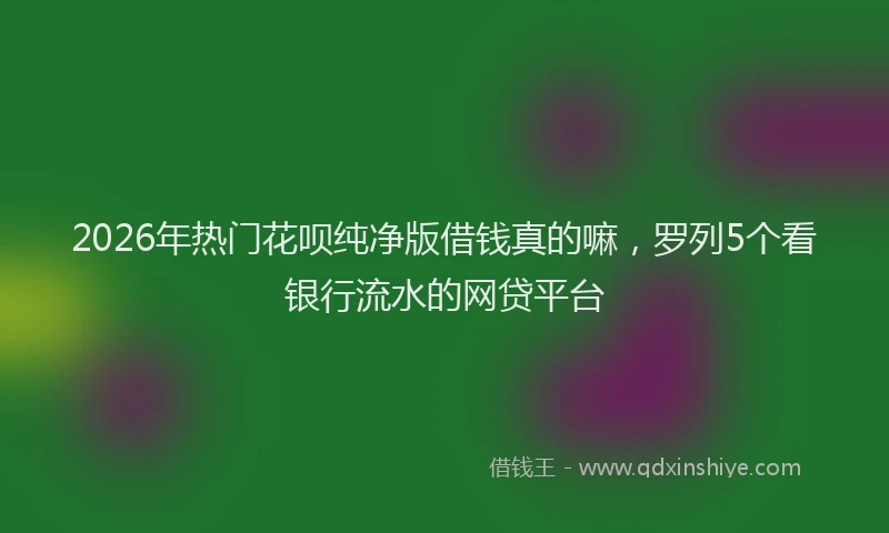 2026年热门花呗纯净版借钱真的嘛，罗列5个看银行流水的网贷平台