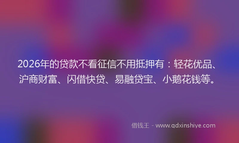 2026年的贷款不看征信不用抵押有：轻花优品、沪商财富、闪借快贷、易融贷宝、小鹅花钱等。