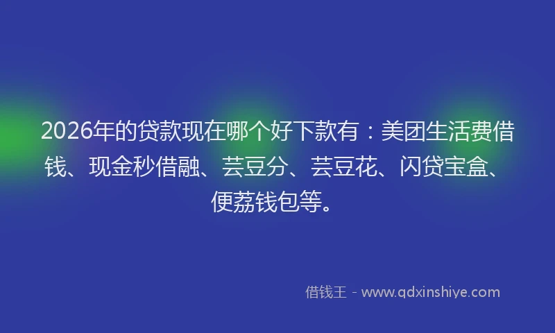 2026年的贷款现在哪个好下款有:美团生活费借钱、现金秒借融、芸豆分、芸豆花、闪贷宝盒、便荔钱包等。