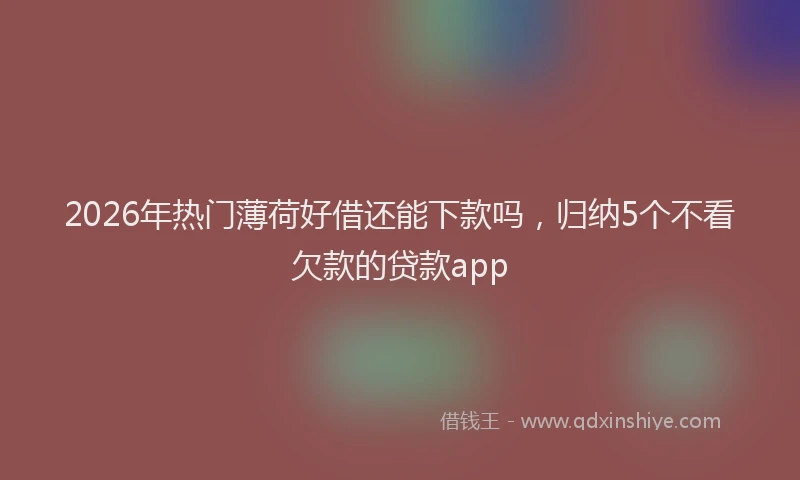 2026年热门薄荷好借还能下款吗,归纳5个不看欠款的贷款app