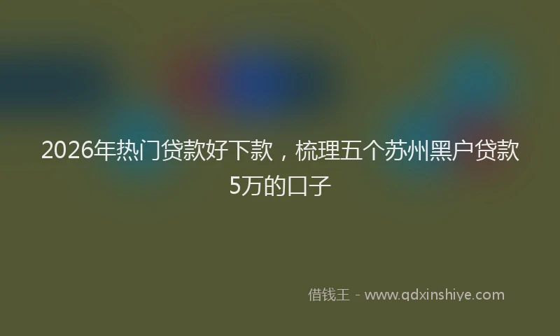 2026年热门贷款好下款，梳理五个苏州黑户贷款5万的口子