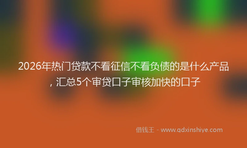 2026年热门贷款不看征信不看负债的是什么产品，汇总5个审贷口子审核加快的口子