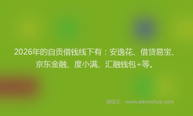 2026年的自贡借钱线下有：安逸花、借贷易宝、京东金融、度小满、汇融钱包+等。
