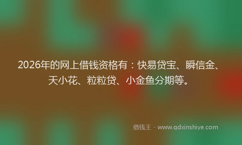 2026年的网上借钱资格有：快易贷宝、瞬信金、天小花、粒粒贷、小金鱼分期等。