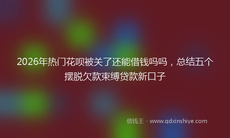 2026年热门花呗被关了还能借钱吗吗，总结五个摆脱欠款束缚贷款新口子