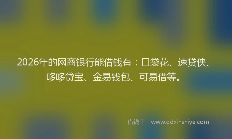 2026年的网商银行能借钱有：口袋花、速贷侠、哆哆贷宝、金易钱包、可易借等。