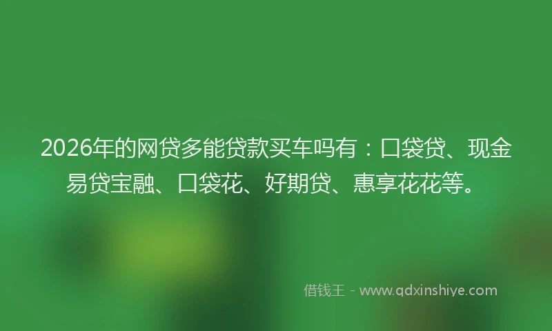 2026年的网贷多能贷款买车吗有：口袋贷、现金易贷宝融、口袋花、好期贷、惠享花花等。