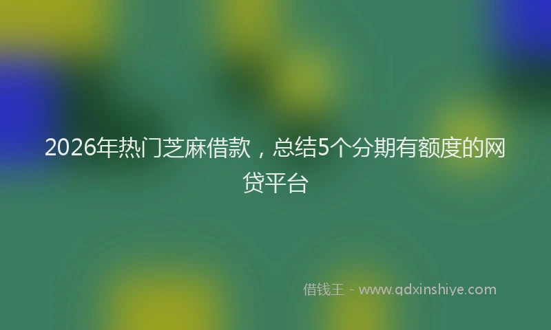 2026年热门芝麻借款，总结5个分期有额度的网贷平台