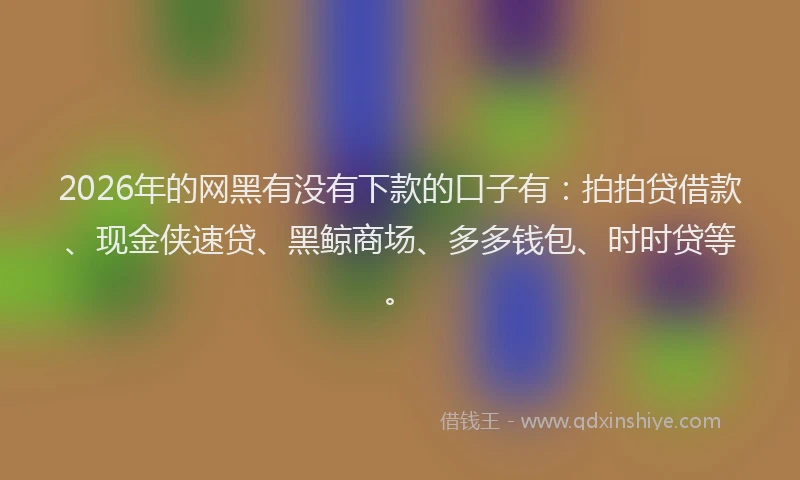 2026年的网黑有没有下款的口子有：拍拍贷借款、现金侠速贷、黑鲸商场、多多钱包、时时贷等。