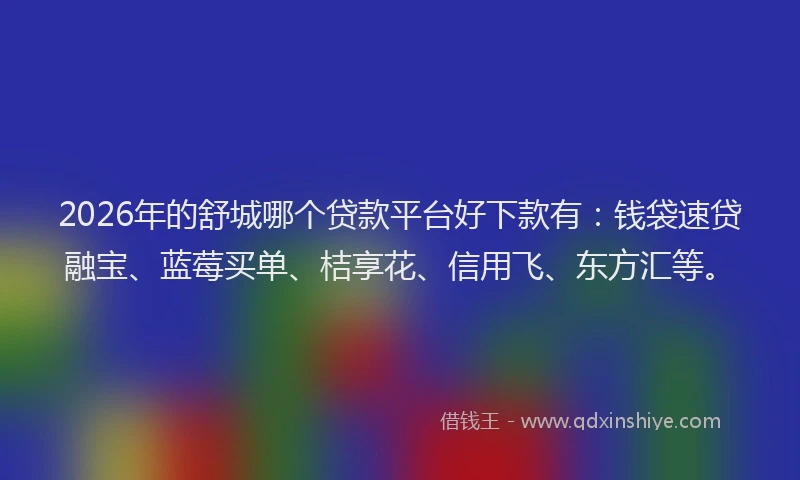 2026年的舒城哪个贷款平台好下款有：钱袋速贷融宝、蓝莓买单、桔享花、信用飞、东方汇等。