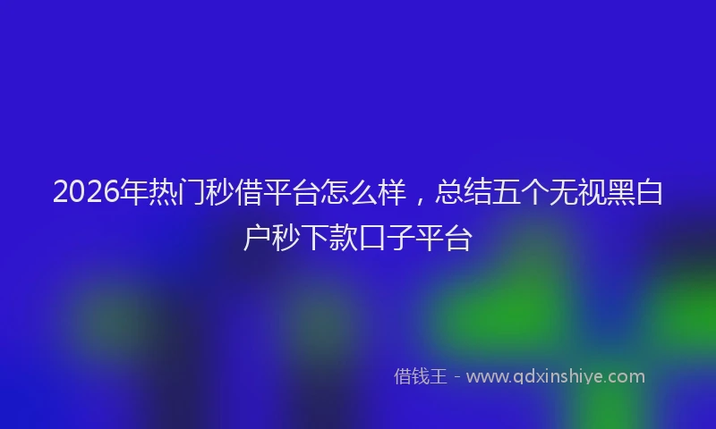 2026年热门秒借平台怎么样，总结五个无视黑白户秒下款口子平台