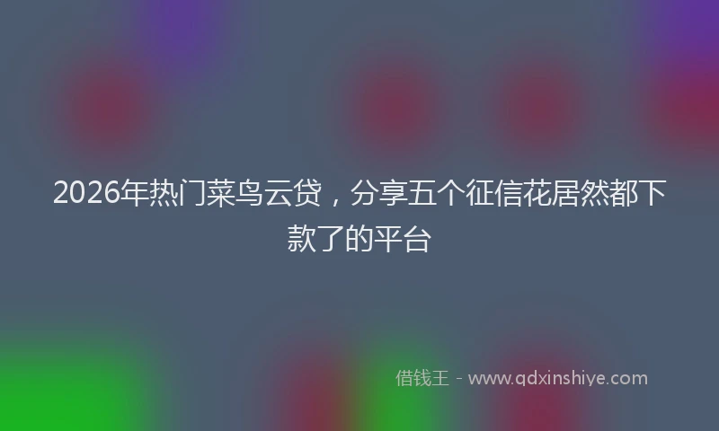 2026年热门菜鸟云贷,分享五个征信花居然都下款了的平台