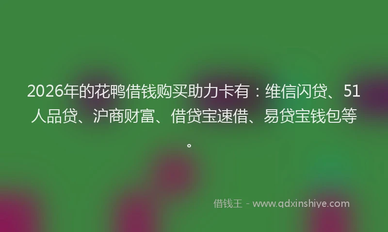 2026年的花鸭借钱购买助力卡有：维信闪贷、51人品贷、沪商财富、借贷宝速借、易贷宝钱包等。