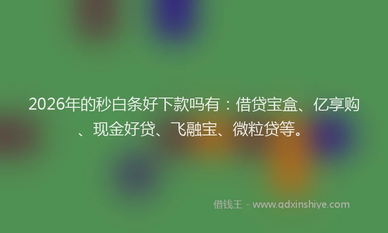 2026年的秒白条好下款吗有:借贷宝盒、亿享购、现金好贷、飞融宝、微粒贷等。