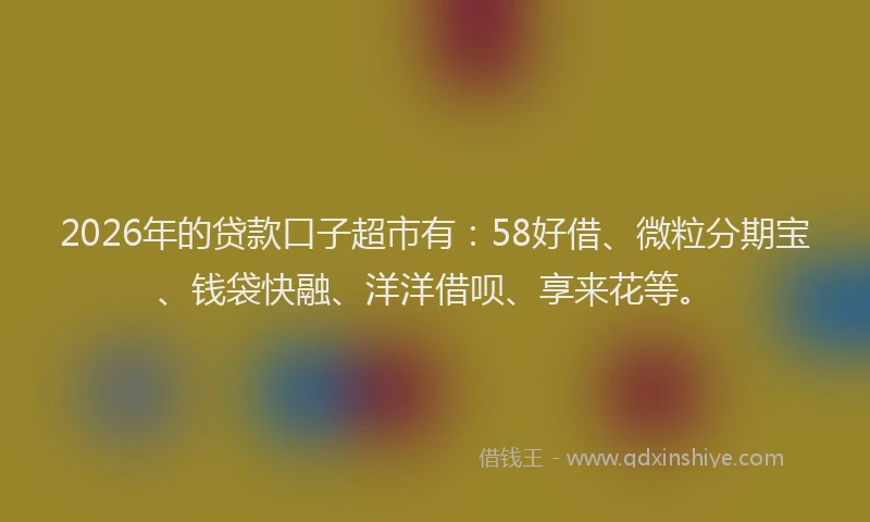 2026年的贷款口子超市有：58好借、微粒分期宝、钱袋快融、洋洋借呗、享来花等。
