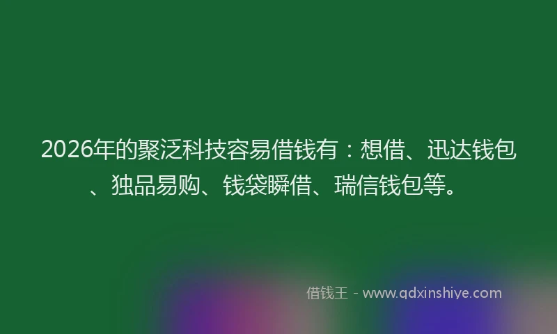 2026年的聚泛科技容易借钱有：想借、迅达钱包、独品易购、钱袋瞬借、瑞信钱包等。