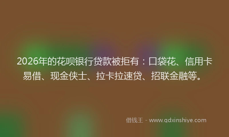 2026年的花呗银行贷款被拒有：口袋花、信用卡易借、现金侠士、拉卡拉速贷、招联金融等。