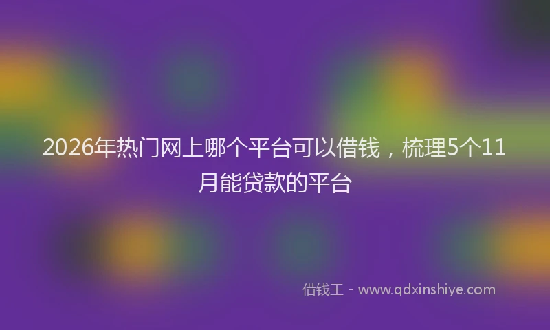 2026年热门网上哪个平台可以借钱，梳理5个11月能贷款的平台