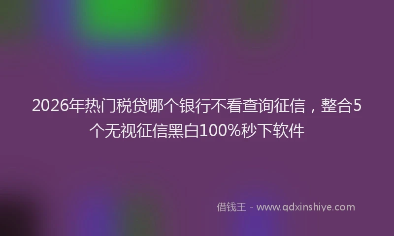2026年热门税贷哪个银行不看查询征信，整合5个无视征信黑白100%秒下软件