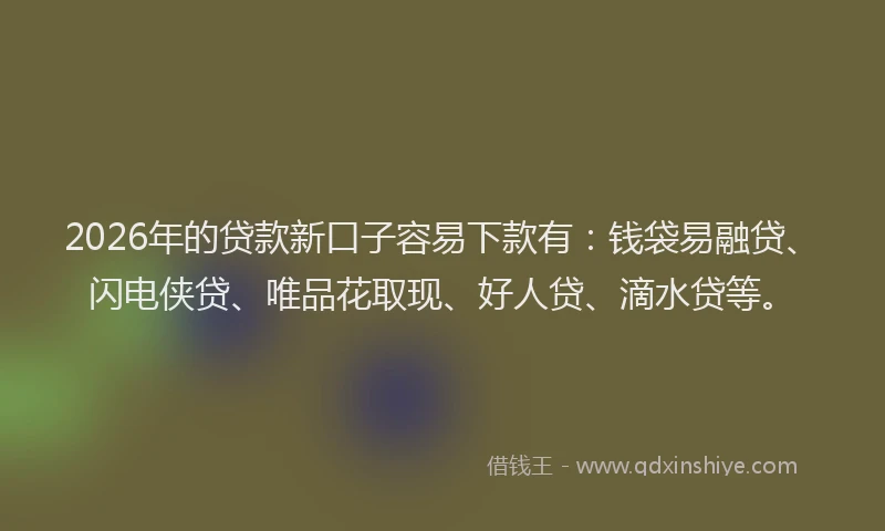 2026年的贷款新口子容易下款有：钱袋易融贷、闪电侠贷、唯品花取现、好人贷、滴水贷等。